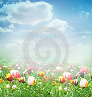 Easter Spring background photo