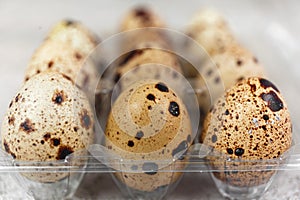 Easter or spring background with small fresh quail eggs. Ecoproduct. Quail eggs on concrete gray background photo