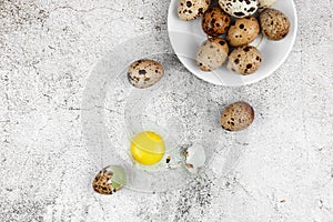 Easter or spring background with small fresh quail eggs. Ecoproduct. Quail eggs on concrete gray background photo
