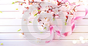 Easter Spring Blossom on white wooden plank background. Easter Apricot flowers on wood border art design. Pink blooming tree