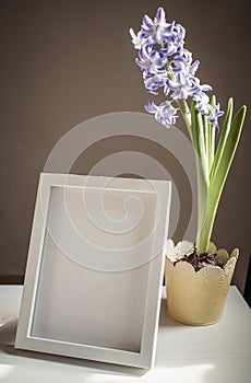 easter spring still life. card mockup, hyacinth in flower pot, Scandinavian interior