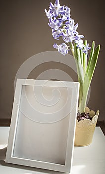 easter spring still life. card mockup, hyacinth in flower pot, Scandinavian interior