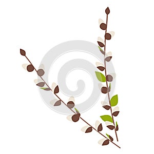 Easter Spring Twigs Blossom Pussy Willow branch with Leaves. Vector Holiday illustration in Cartoon Flat style Isolated on white.