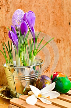 Easter still life with colored eggs and flowers Crocus