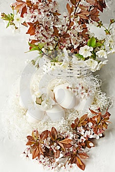 Easter still life. Gentle light photo. White eggs and tender spring branches