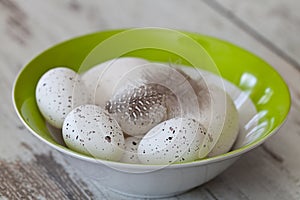 Easter Still Life Minimalistic With Eggs And Feathers