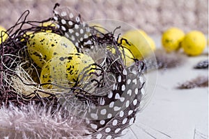 Easter still life, postcard - Rustic still life with quail eggs in nest on rough concrete surface