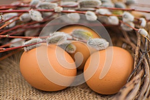 Willow twigs and natural eggs. Easter concept.