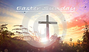Easter Sunday concept: Jesus Christ crucifixion cross