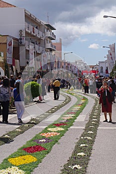 Easter Sunday procession