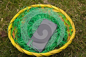 Easter, Surprise, Smartphone, nest