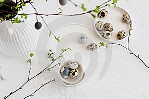 Easter table decorated with quail eggs and birch tree branches. Modern minimalistic Easter decor