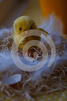 Easter theme, Easter decorations