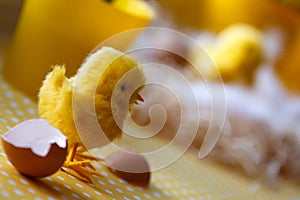 Easter theme, Easter decorations