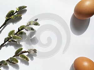 Easter Theme with Eggs and Willow Branches