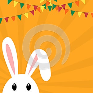 Easter themed banner with bunny and buntings photo