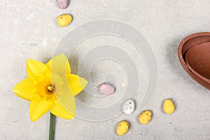 Easter time background on table top view with chocolate Easter egg and daffodil flower