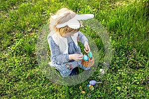 Easter tradition. A girl with a basket collects colorful Easter eggs in the grass. Child wearing bunny ears.