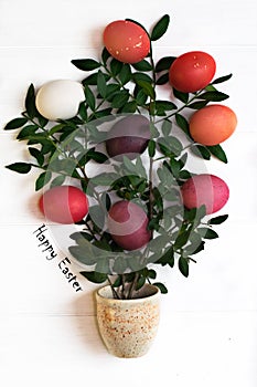 Easter tree with multi-colored Easter eggs on a white background with green branches