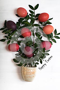 Easter tree with multi-colored Easter eggs on a white background with green branches
