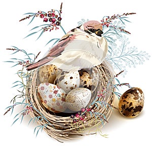 Easter vector background with realistic bird nest eggs and florals for design