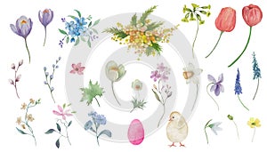 Easter watercolor set. Hand drawn floral illustration isolated on transparent background. Vector EPS.