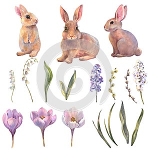 Easter watercolor set, illustrations rabbits, spring flowers in pastel colors. Hand painted illustration for happy