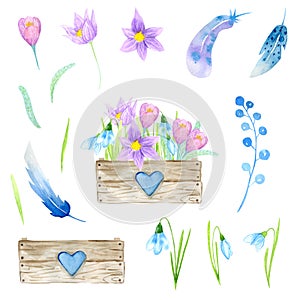 Easter. Watercolor set. Wooden box filled with flowers, Easter eggs. Snowdrops and primroses in a wooden box