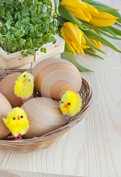 Easter, watercress, tulip flowers, eggs, toy chicks.