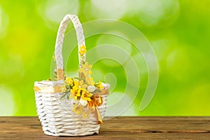 Easter white basket on a background of beautifully blurred greenery, Concept, spring season, happy Easter, copy space