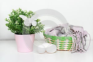 Easter white chicken eggs and green spring plant in flower pot, decorative butterfly and a basket with woolen scarf on white table