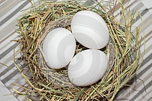 Easter white chicken eggs in straw nest, rustic style striped cloth below