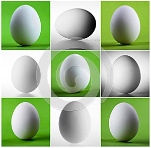 Easter white egg. Set of images