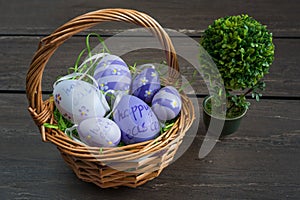 Easter wicker basket with colored eggs and a small bonsai on grey wooden board.