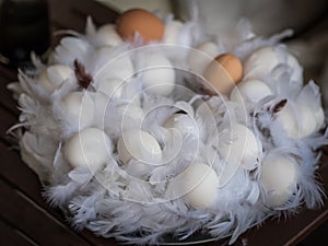 Easter Wreath