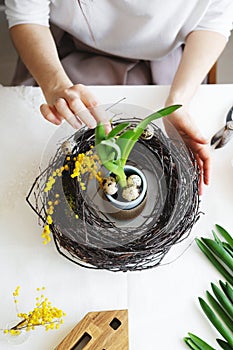 Easter wreath diy with woman hands, flowers on table, handicraft