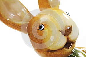 Easterbunny, close-up