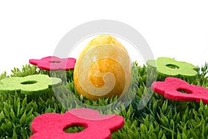 Easteregg on grass