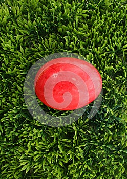Easteregg on grass