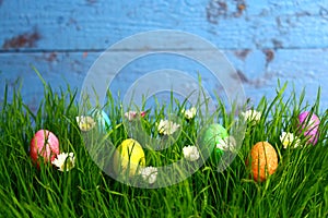 Eastereggs in eastergrass and daisy flowers