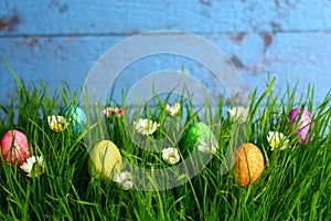 Eastereggs in eastergrass and daisy flowers