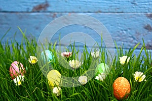Eastereggs in eastergrass and daisy flowers