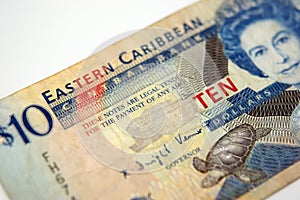 Eastern carribean money photo