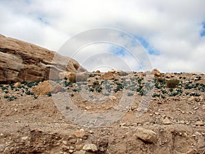 The eastern desert part of Jordan. Landscapes of stone deserts and rocks along the road to Petra.