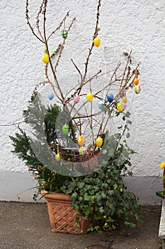 Eastern egg decoration. painted eastereggs hanging on branch
