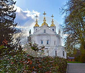 Eastern facade of Assumtion Cathedral in Poltava, flowering bush photo