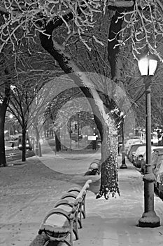 Eastern Parkway Streetlamp in Snow (B&W) photo