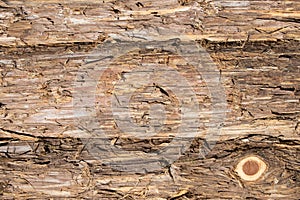Eastern red cedar bark boards
