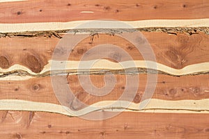 Eastern red cedar bark edge boards