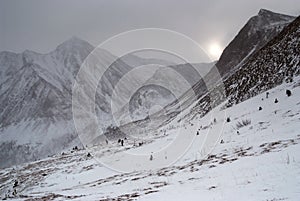 Eastern Sayan mountains. Altai.